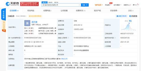 深圳錘子科技數碼科技注銷，軟件技術轉讓引發行業關注